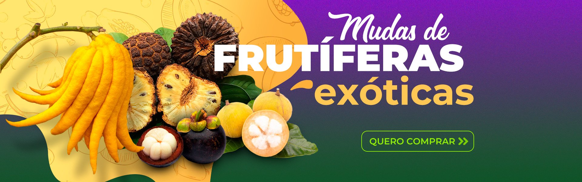 banner sitio principal frutiferas